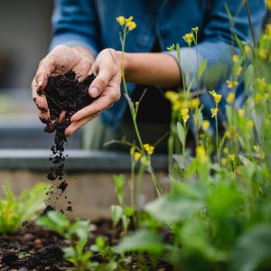 Zwei Hände die Erde in ein Beet rieseln lassen